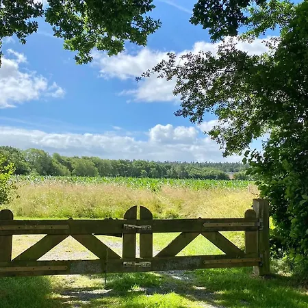 Lejlighed De Heuhoff-hedwigsruh *