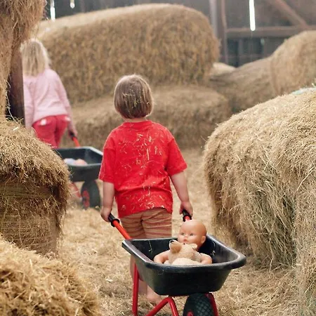 De Heuhoff-hedwigsruh * Stadum