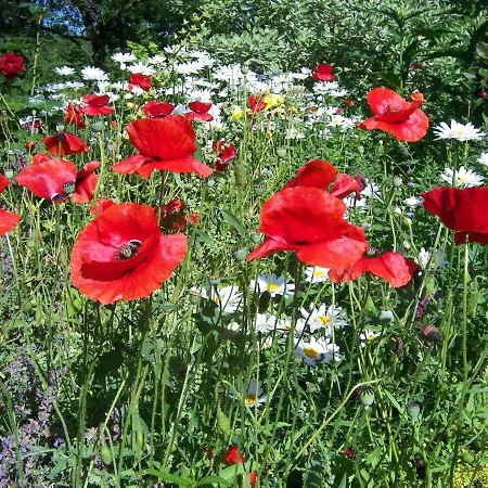 De Heuhoff-hedwigsruh Lejlighed