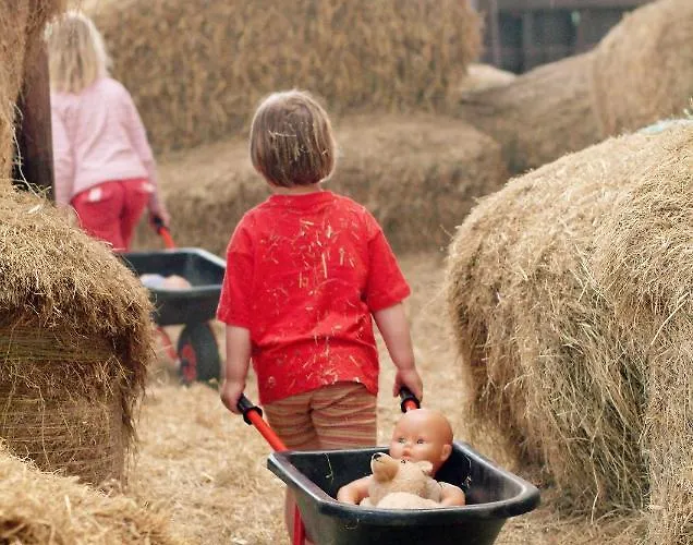 De Heuhoff-hedwigsruh * Stadum